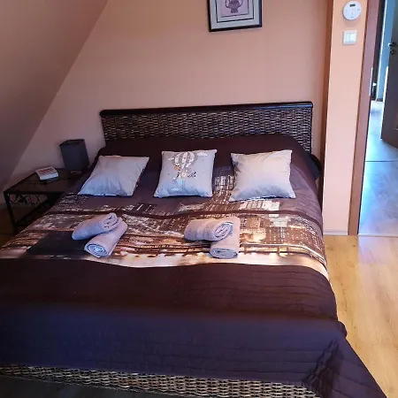 Dom Aneta Дом отдыха Устронь