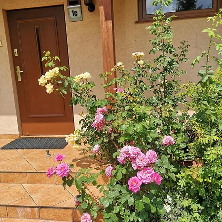 Дом отдыха Dom Aneta Устронь